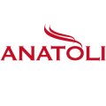 ANATOLH 300X300
